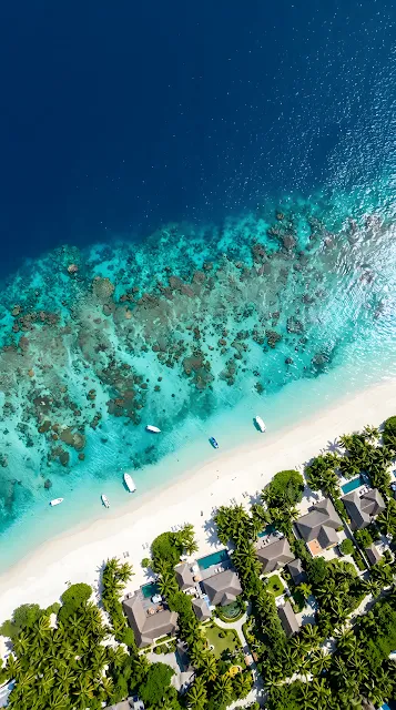 Aerial Drone View of Pristine Tropical Shoreline and Coral Reef - Free mobile Wallpaper