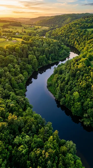 Aerial Drone View of Winding River Through Lush Forest - Free 4K & 8K mobile Wallpaper