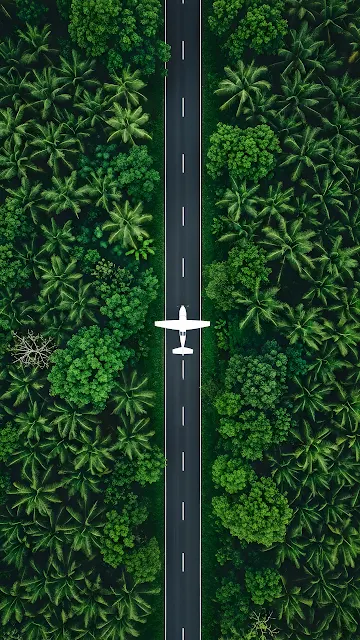 Aerial View of Airplane on Jungle Road Runway - Free mobile Wallpaper