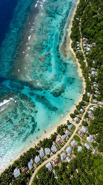 Aerial View of Tropical Beach with Turquoise Water and Lush Greenery - Free mobile Wallpaper
