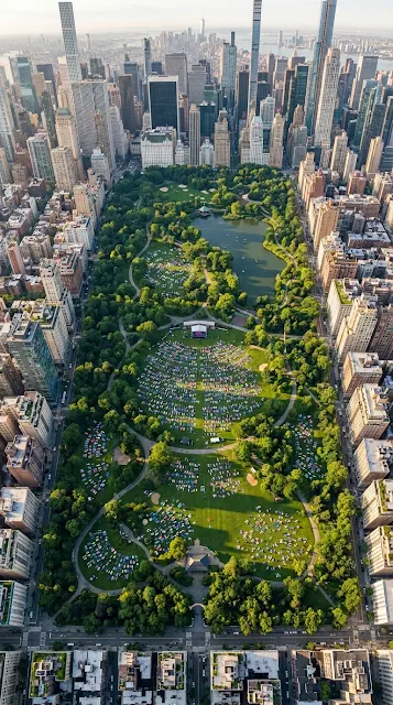 Aerial View of Urban Park Yoga Session with City Skyscrapers - Free 4K & 8K mobile Wallpaper