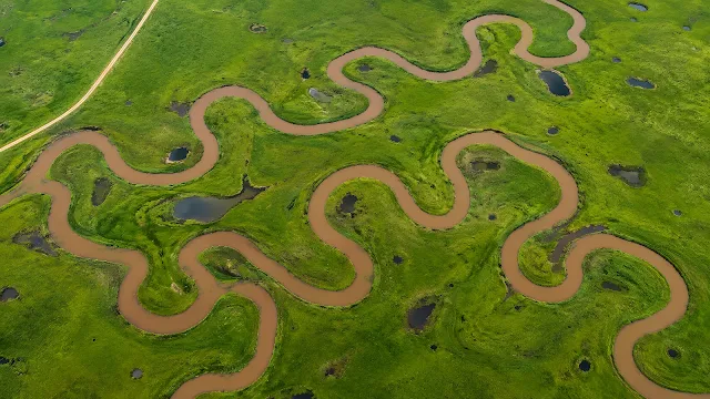 Direct overhead aerial view of a brown river looping dramatically in curves across a vast green swampy meadow.