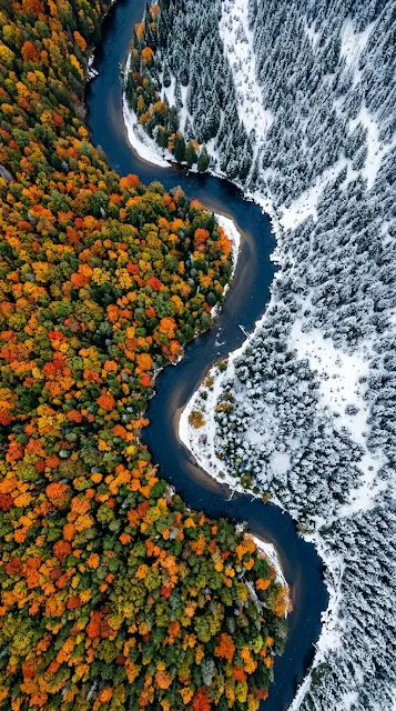 Aerial View of a Winding River Between Autumn and Snow Forests - Free 4K & 8K mobile Wallpaper