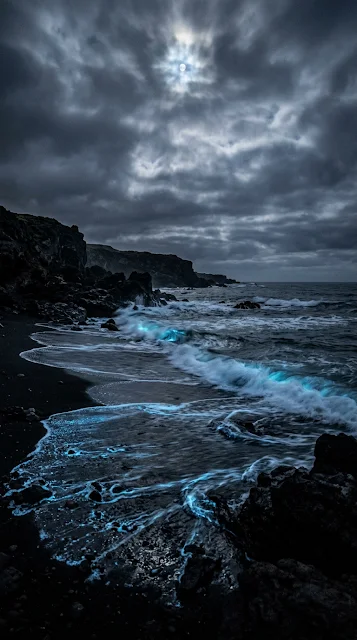 Dark Volcanic Beach Bioluminescent Waves Wallpaper - Free 4K & 8K mobile Wallpaper