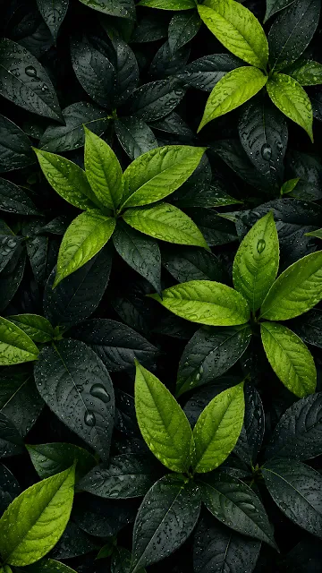 A dense, macro top-down view of overlapping pointed forest leaves in contrasting shades of deep charcoal green and bright lime green.