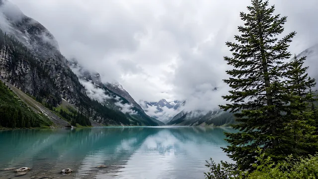 Low cloud cover and fog hanging over a quiet alpine lake framed by tall pine trees and dark mountain cliffs.