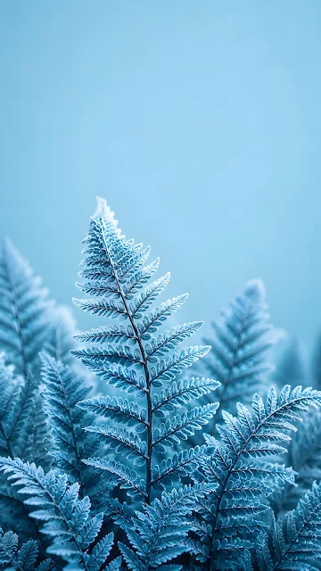 Frosted blue fern fronds rise from the lower frame against a soft cyan background.