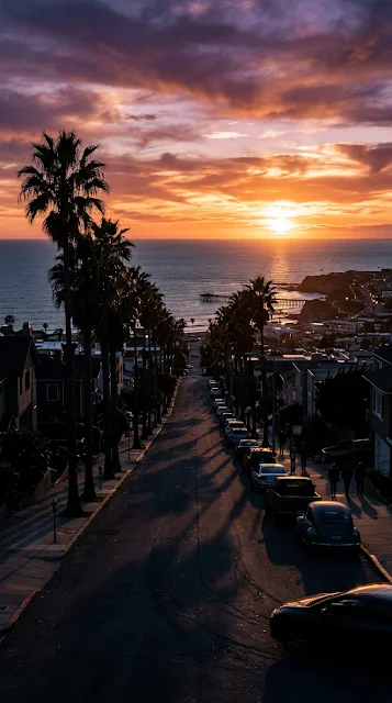 Golden Sunset Over California Coastal Street with Palm Trees - Free 4K & 8K mobile Wallpaper