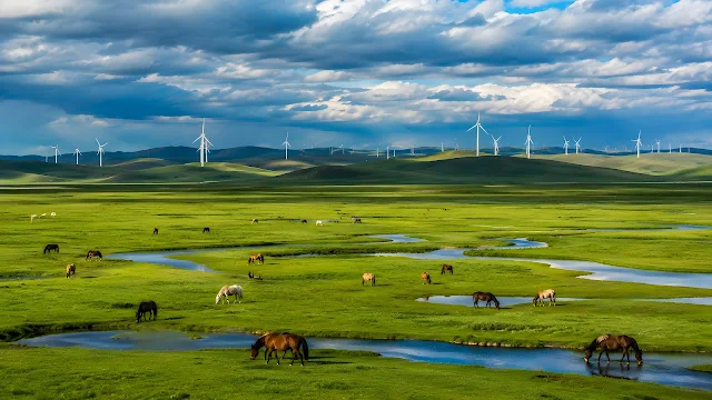 Wide shot of a rolling green grassy meadow with a scattered herd of horses grazing beneath a dramatic sky with a wind farm in the far distance.