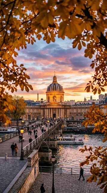 Institut de France in Paris Framed by Autumn Leaves at Sunset - Free 4K & 8K mobile Wallpaper