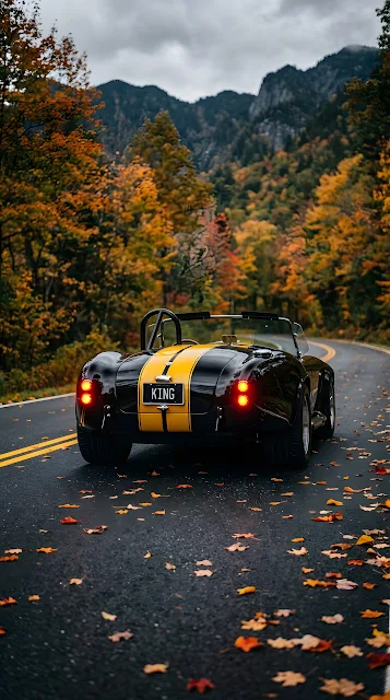 Low Angle Rear View of a Black Sports Car with Yellow Racing Stripes on an Autumn Road - Free mobile Wallpaper