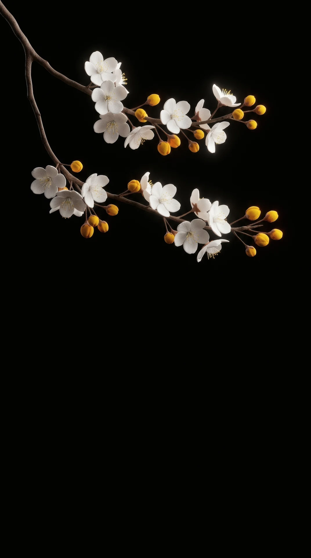 Minimalist Porcelain White Blossom AMOLED 4K Mobile Wallpaper - Free 4K mobile Wallpaper