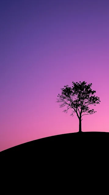 Minimalist Silhouette of a Lone Tree on a Hill Against Twilight Sky - Free 4K & 8K mobile Wallpaper
