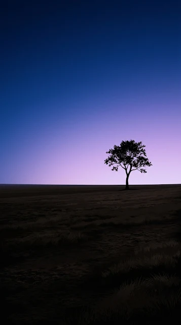 Minimalist Silhouette of a Lone Tree in a Vast Field at Twilight - Free 4K & 8K mobile Wallpaper