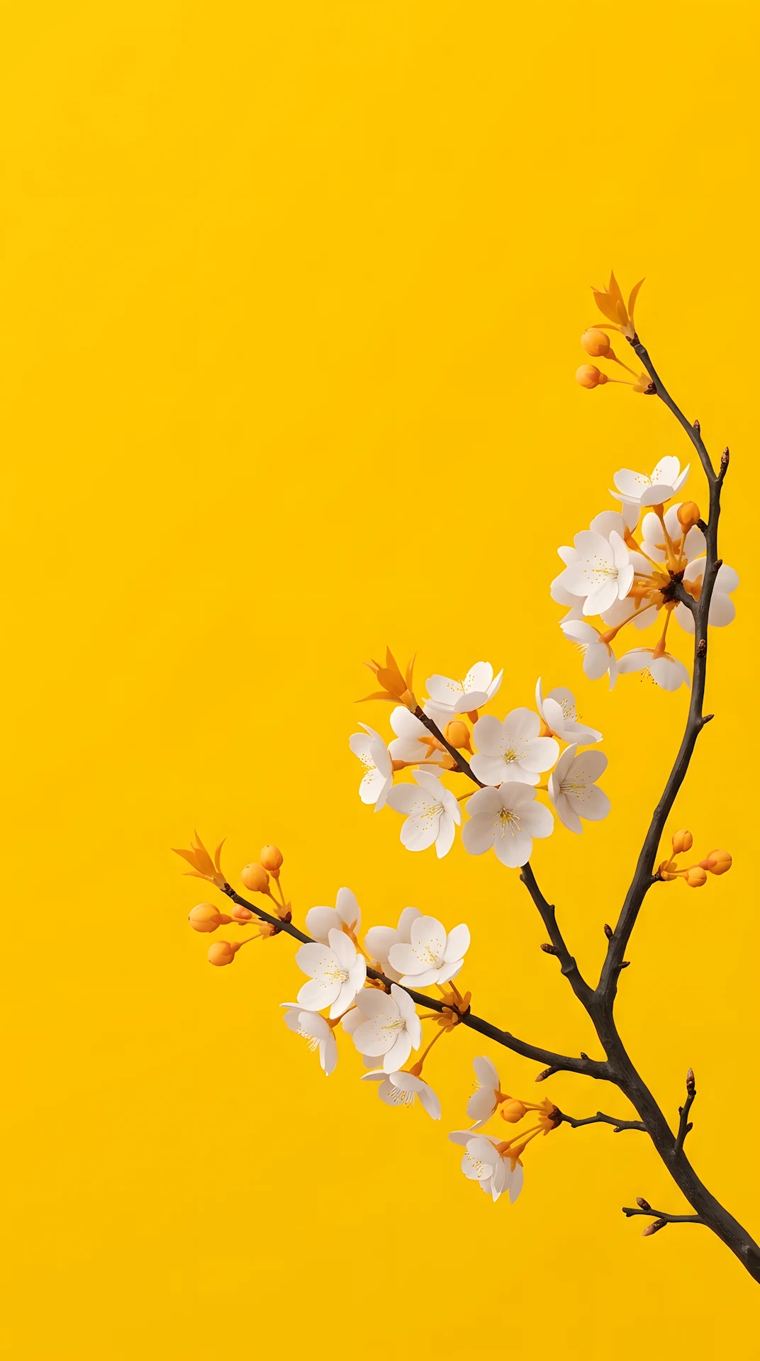 Minimalist White Cherry Blossoms on Saturated Yellow Background - Free 4K mobile Wallpaper