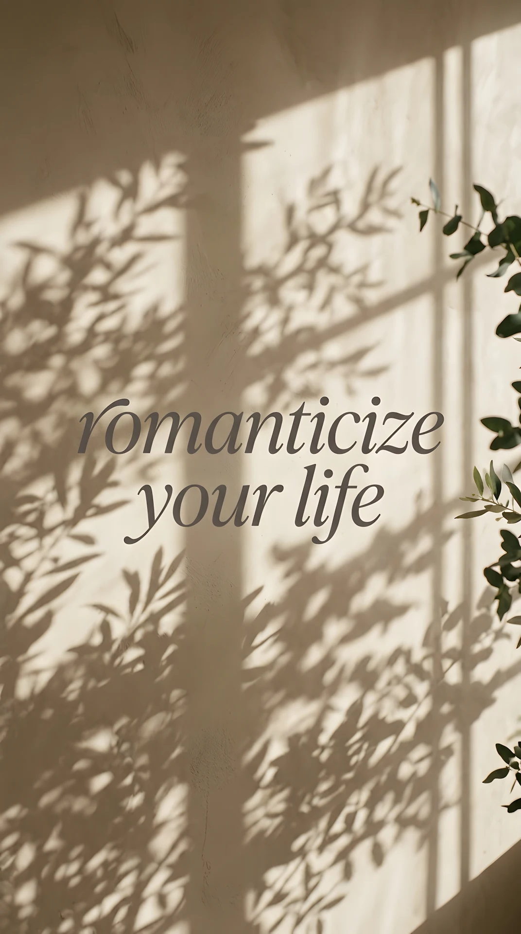 Neutral Sand Organic Window Shadow Typography Background - Free 4K mobile Wallpaper