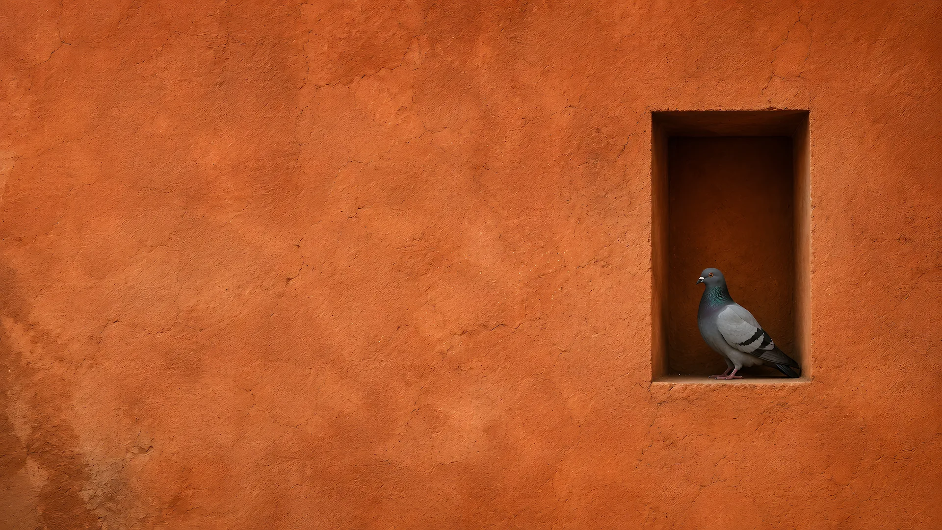 Pigeon resting inside a small alcove of a textured clay wall - Free 4K desktop Wallpaper