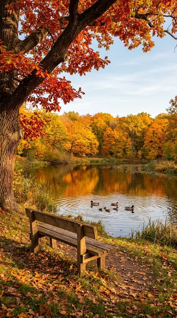 Serene Autumn Park Scene with Pond Ducks and Red Oak Tree - Free 4K & 8K mobile Wallpaper