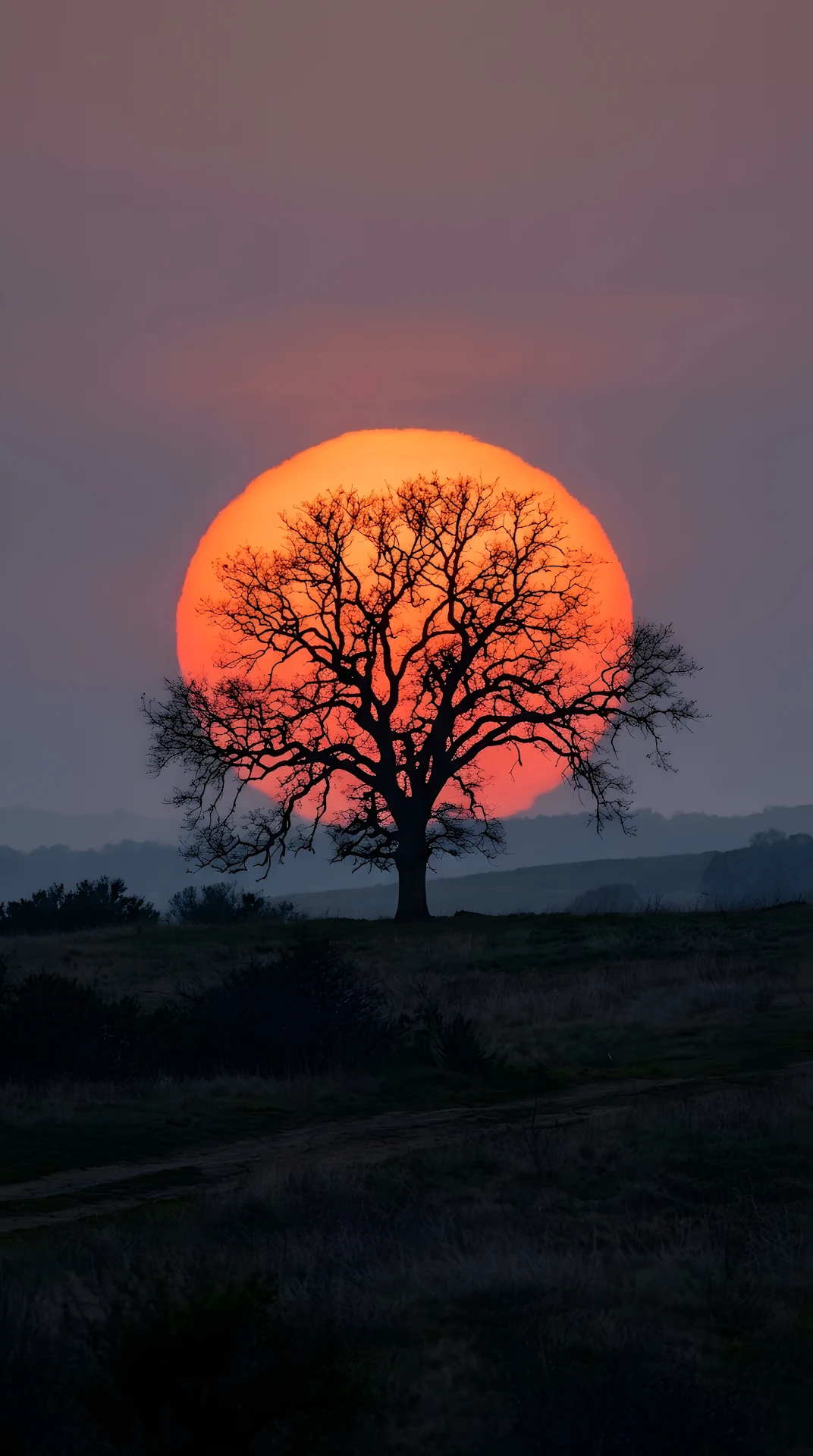 Silhouette of a Large Tree Inside a Giant Vibrant Orange Sun at Sunset - Free 4K mobile Wallpaper