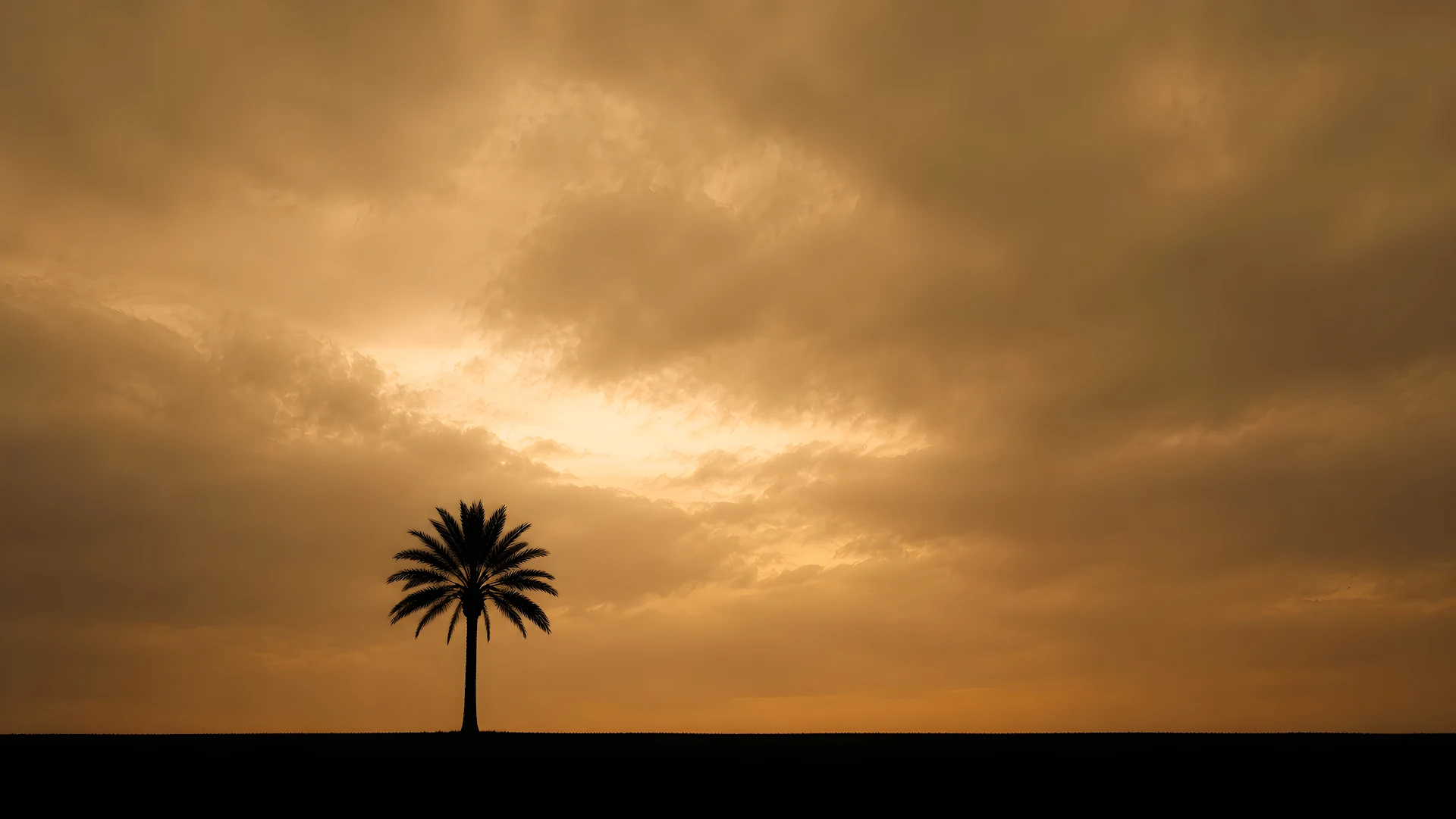 Silhouette of a palm tree against a warm sepia sky - Free 4K desktop Wallpaper