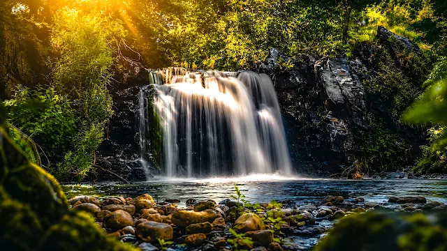 A bright waterfall pours from a forest ledge into a calm river surrounded by mossy rocks and lush trees.