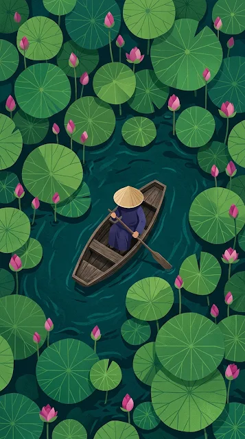 Top-Down View of a Person in a Boat Among Large Lotus Leaves - Free 4K & 8K mobile Wallpaper